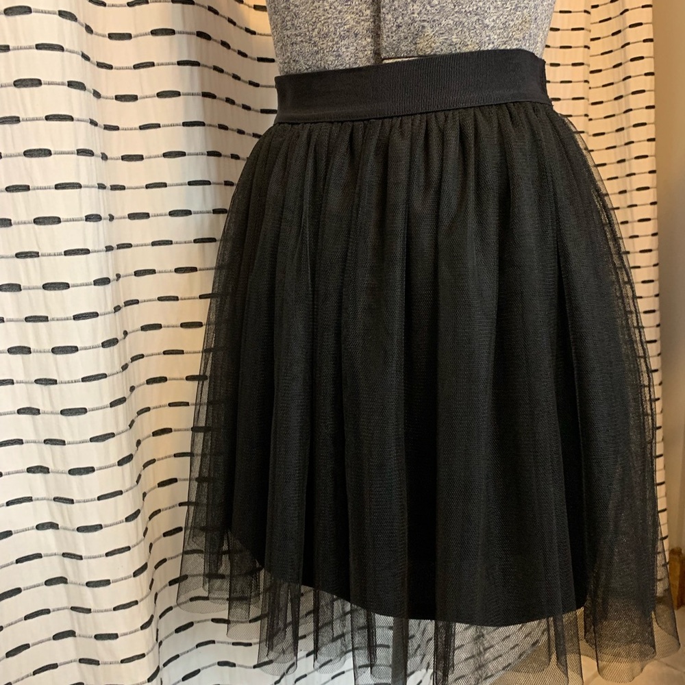 Tulle Skirt